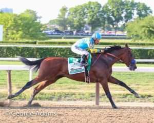 American Pharoah completes his Triple Crown in the 2015 Belmont-G1