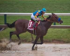 American Pharoah wins the 2015 Preakness-G1