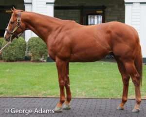 Lord Nelson